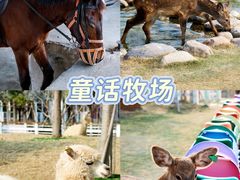 -盈香心动乐园