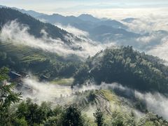 -紫鹊界梯田景区