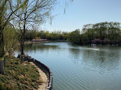 -大兴滨河森林公园