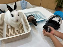 -Moni星球萌宠·小马宝莉·灵蛇·高端高阶全萌宠互动体验俱乐部(红豆国际广场店)