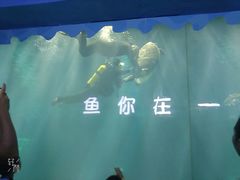 -秦皇岛乐岛海洋王国