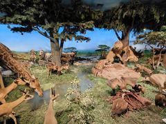 -国家自然博物馆