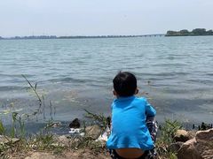 -漕湖湿地公园