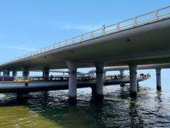 -演武大桥观景平台