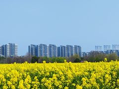 -南京眼步行桥