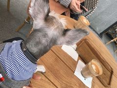 -Peet's 皮爷咖啡(东湖路手作店)