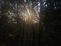 -紫金山天文台