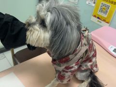 -嘉馨宠物医院·CT影像转诊·心脏科·犬猫全科诊疗中心(下沙大学城院区)