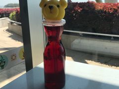 -琴岛之星摩天轮