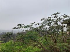 -海南棋子湾开元度假村·祺咖啡自助餐厅