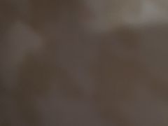 -刘胖子家常菜·蹄花焖藕(兴业店)