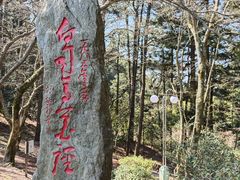 -庐山风景区花径公园