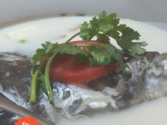 -全乐鱼馆·淳牌有机鱼直营店