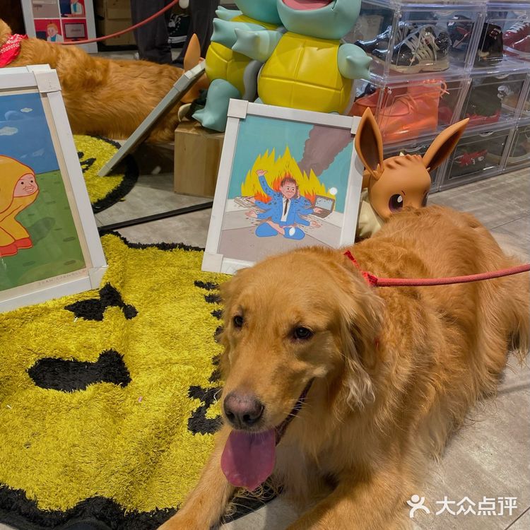 深圳超全的潮牌买手店♠️｜火速get去逛扒！