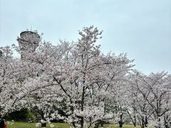 -关你鬼室大型密室逃脱(佛山创意园店)