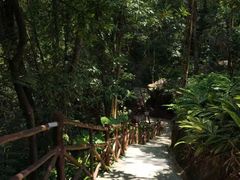 -广州市流溪河国家森林公园