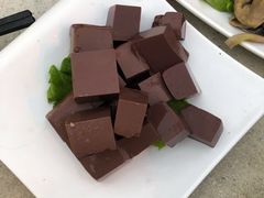 -墨脱石锅椰子鸡•香草鸭•东山羊(大东海店)