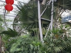 -北京植物园-展览温室