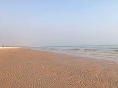 -日照海滨国家森林公园