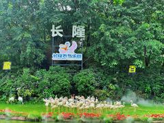 -广州长隆飞鸟乐园