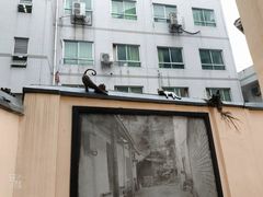 -山城巷传统风貌区