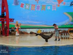 -三亚海昌梦幻海洋不夜城