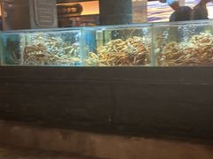 -紫阳海鲜楼·传承闽味(长乐路总店)