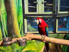 -海合安武汉极地海洋公园