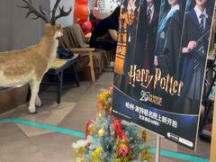 -海马体照相馆(深圳万象天地店)