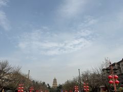-子午路张记肉夹馍(翠华路店)