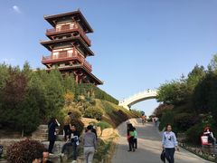 -宝鸡植物园