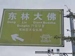 -庐山风景名胜区-东林大佛