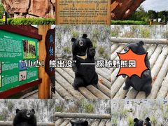 -黑瞎子岛探秘野熊园