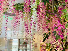 -花舍·新派粤菜·西餐·下午茶(亚运村·鸟巢店)