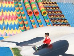 -武汉紫薇都市田园