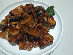 -蝶园·装修中(BFC外滩金融中心店)