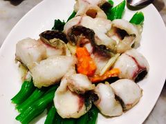 菜远生鱼片-镛记酒家