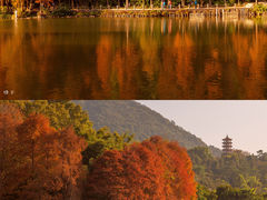 -深圳市中科院仙湖植物园