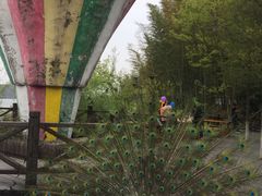 -天目湖山水园