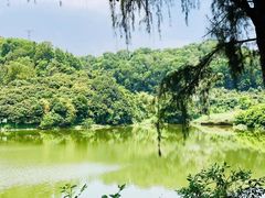 -火炉山森林公园