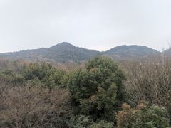 -白马涧龙池景区