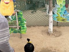 -草根堂农场