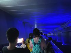 -白鹤梁水下博物馆