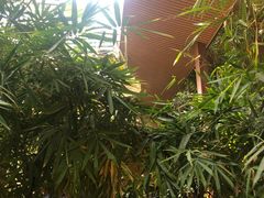 -大鹅岛绿色生态美食园