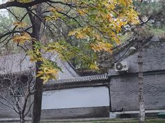 -中山公园(石岐街道)