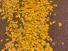 -范特西FANTASY量贩式KTV(民主广场店)