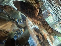 -客家汇·客家传承菜(水库店)