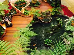 -北马山庄植趣咖啡