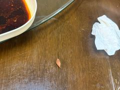 -真真鲜馄饨店(启蒙路店)