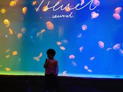 -华夏文旅海洋公园